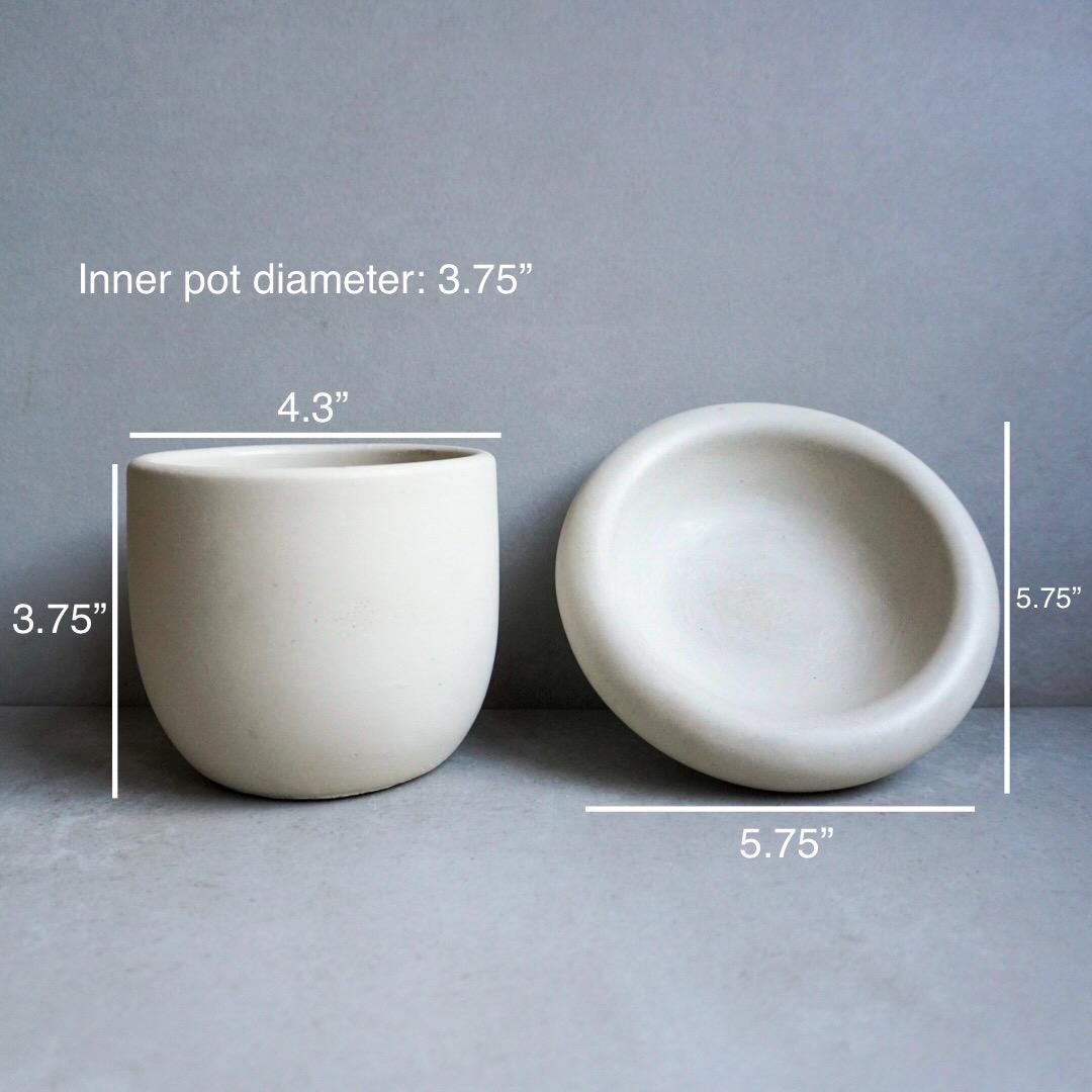 Concrete Planter with Saucer | Minimalist Plant Pot, Bubble Planter, Thick Saucer, Japandi Houseplant Decor, Neutral Home, Organic Shape