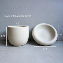 Concrete Planter with Saucer | Minimalist Plant Pot, Bubble Planter, Thick Saucer, Japandi Houseplant Decor, Neutral Home, Organic Shape