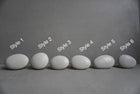 Pebble Concrete Knob, Cobblestone Cement Hook, Hat Hook, Drawer Pull, Decorative Peg, Furniture Hardware, Wall Storage, Minimal Cabinet Knob