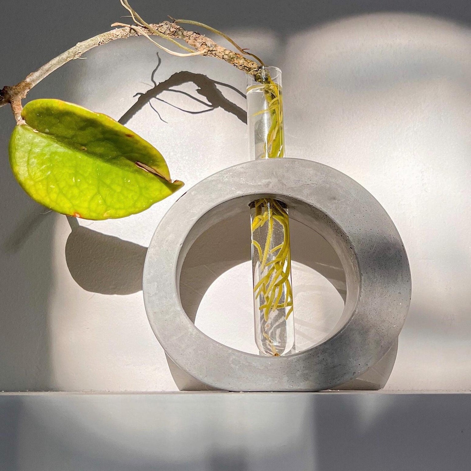 Concrete Bud Vase, Cement Donut Vase, Irregular Test Tube Vase, Propagation Station, Asymmetrical Vase, Minimalist Dried Flower Vase
