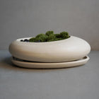 Concrete Ikebana Vase | Kokedama Display Vessel, Bonsai Pot with Drainage, Japandi Pot with Saucer, Pebble Pot, Calm Aesthetic, Wabi Sabi