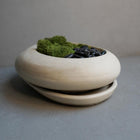 Concrete Ikebana Vase | Kokedama Display Vessel, Bonsai Pot with Drainage, Japandi Pot with Saucer, Pebble Pot, Calm Aesthetic, Wabi Sabi