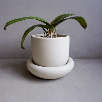 Concrete Planter with Saucer | Minimalist Plant Pot, Bubble Planter, Thick Saucer, Japandi Houseplant Decor, Neutral Home, Organic Shape