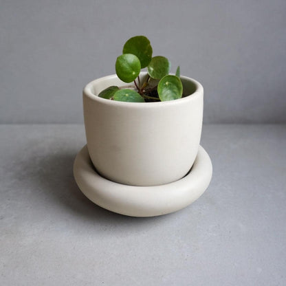 Concrete Planter with Saucer | Minimalist Plant Pot, Bubble Planter, Thick Saucer, Japandi Houseplant Decor, Neutral Home, Organic Shape