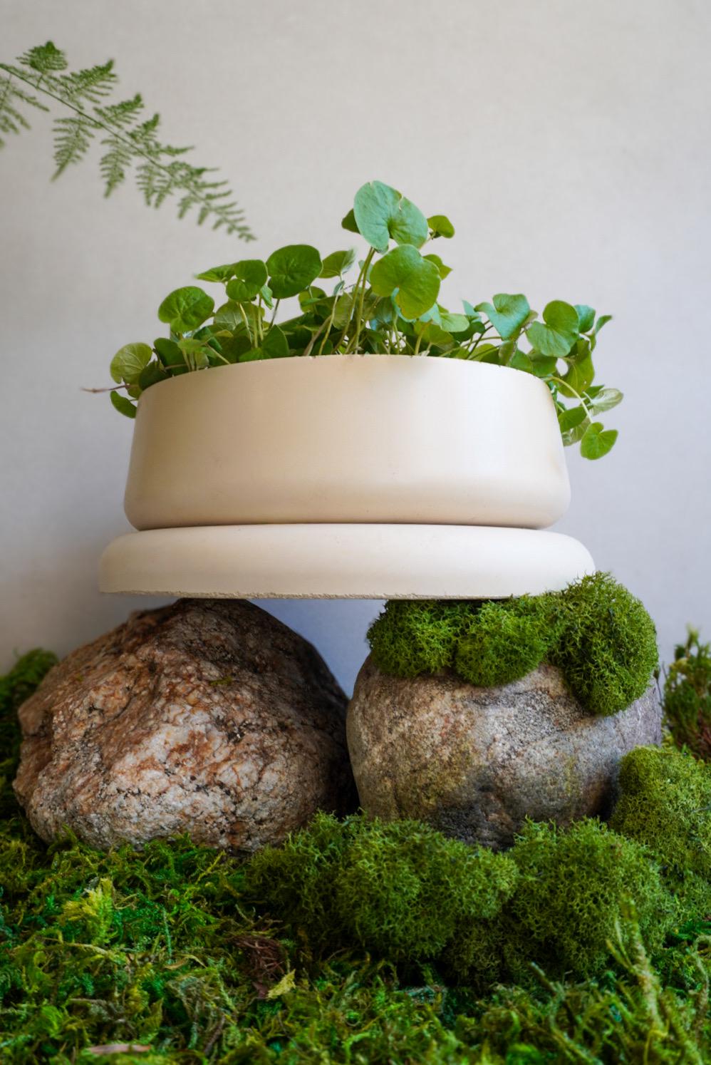 Concrete Planter with Bulky Saucer | Minimalist Pot with Drainage, Shallow Bonsai Planter with Tray, Neutral Home Decor, Nature Inspired