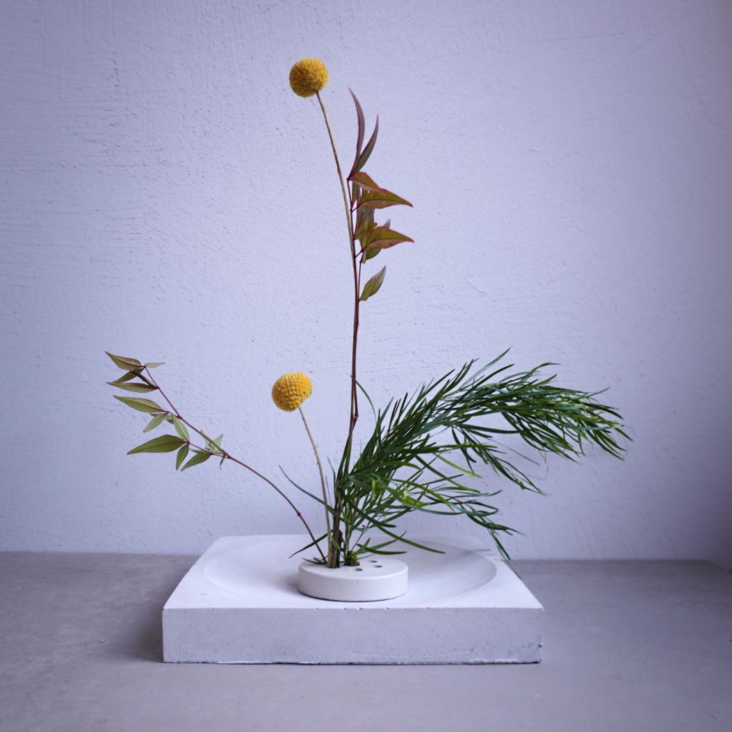 Minimalist Concrete Bowl, Low Bowl, Trinket Tray, Catch All Dish, Shallow Decorative Bowl, Centerpiece Bowl, Handmade Bowl, Low Display Bowl