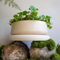 Concrete Planter with Bulky Saucer | Minimalist Pot with Drainage, Shallow Bonsai Planter with Tray, Neutral Home Decor, Nature Inspired