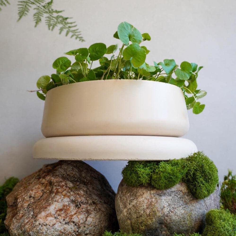 Concrete Planter with Bulky Saucer | Minimalist Pot with Drainage, Shallow Bonsai Planter with Tray, Neutral Home Decor, Nature Inspired